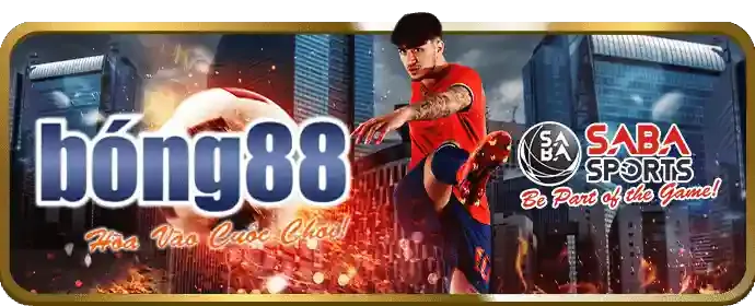 Tổng quan nền tảng f186